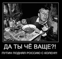Борис Стомахин - Бессмысленные, серые скоты